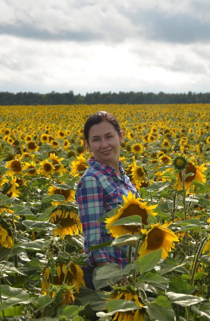 SOLD: "Sunflower" by Inna Thakur
